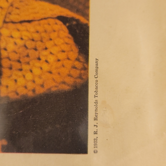 - Vintage 1933 Camel Cigarette Ad - Picture 2 of 4